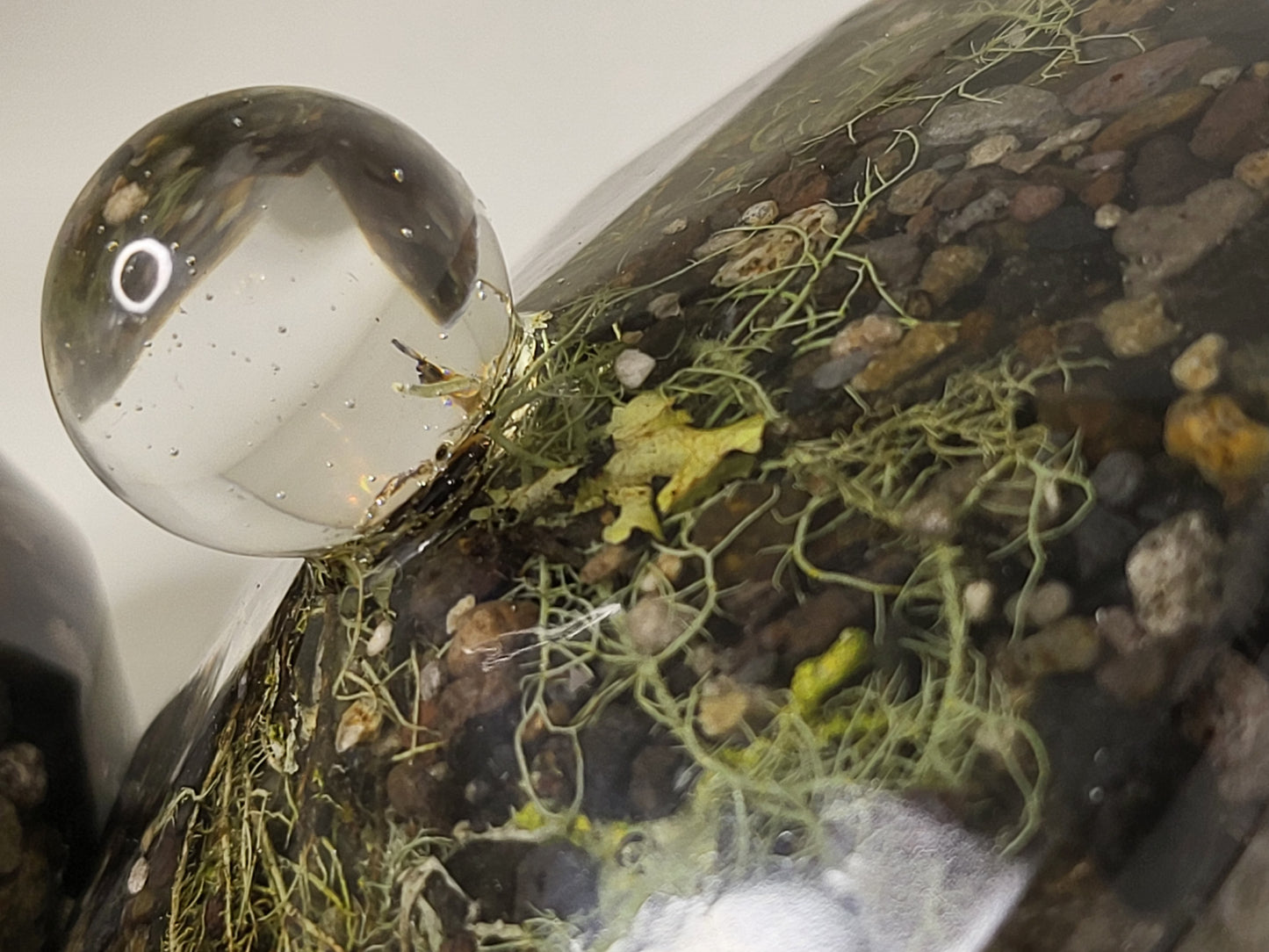 Rock pot with lid