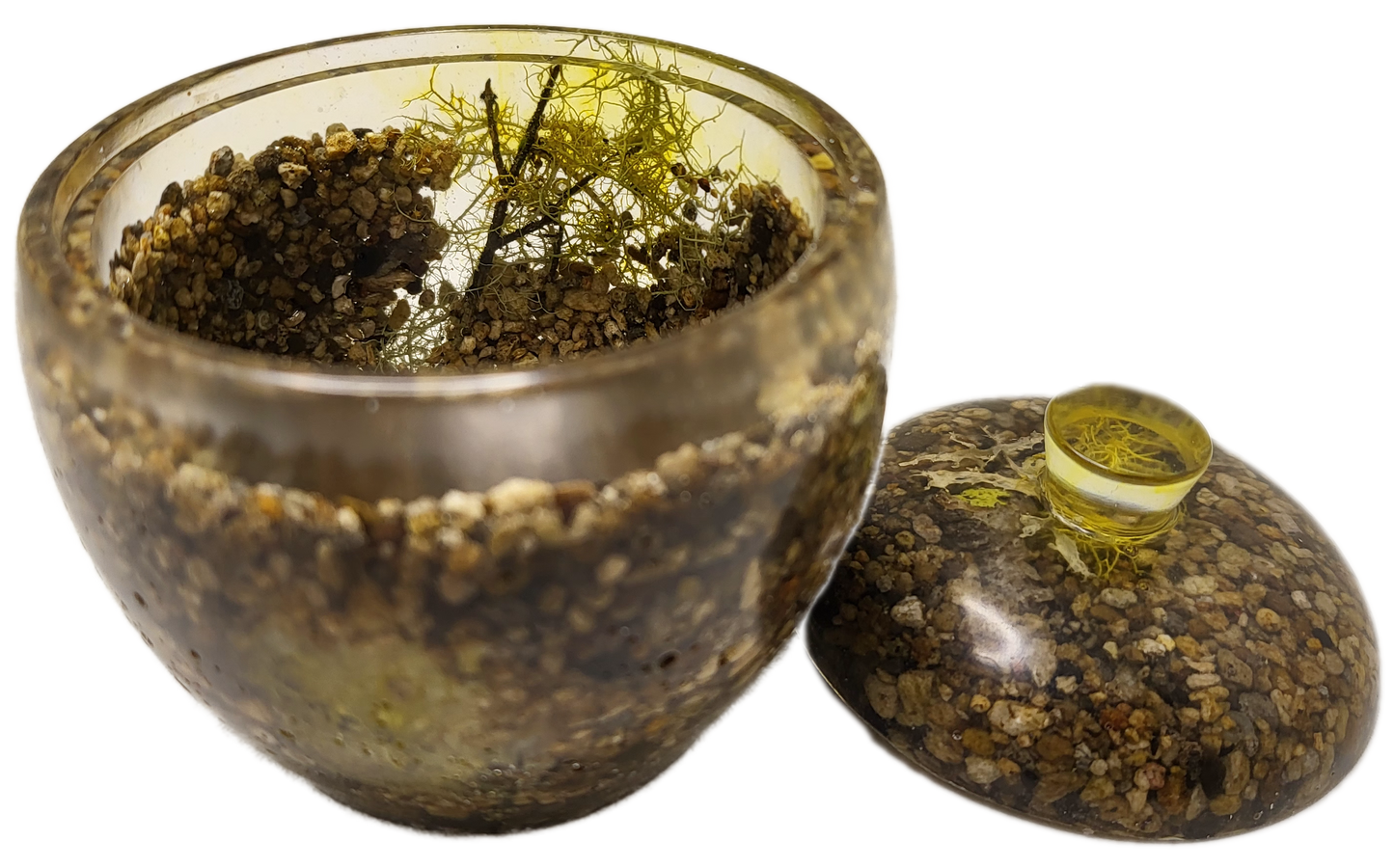 Rock pot with lid