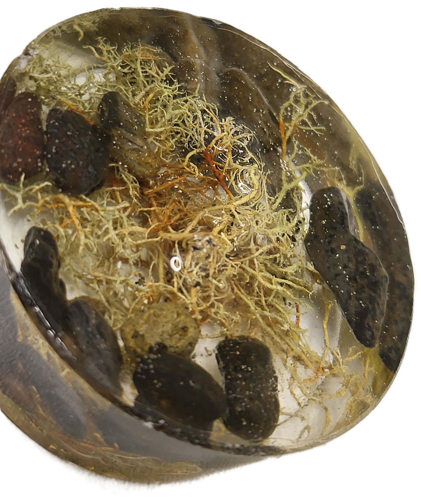 Rock pot with lid