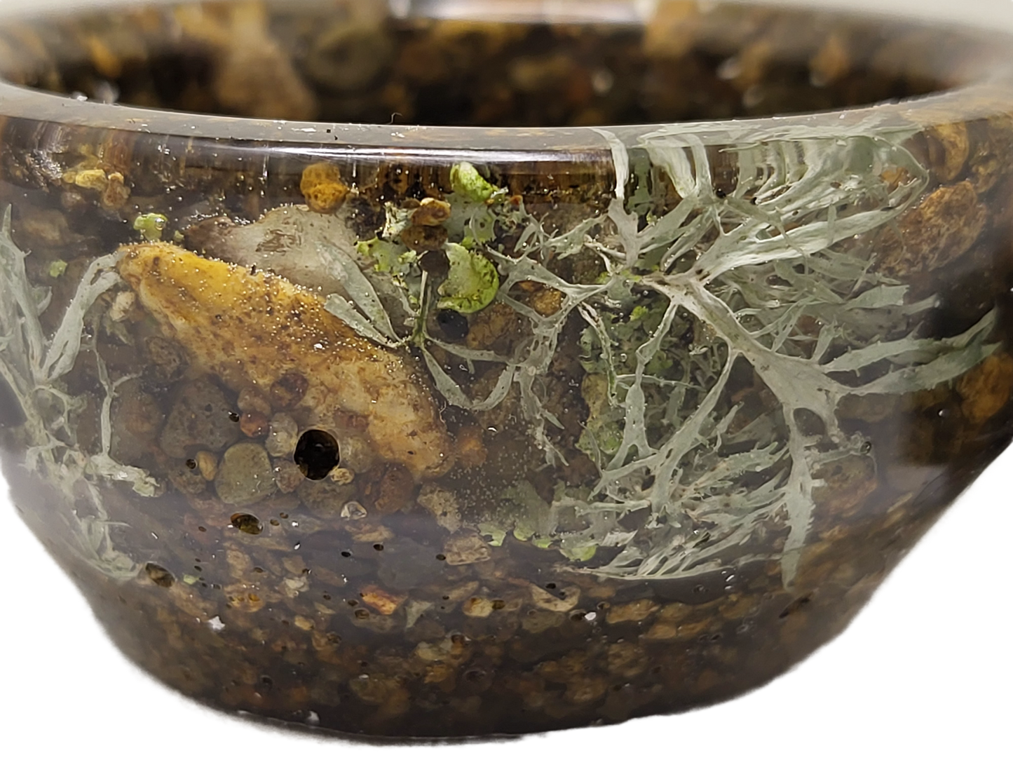 Rock pot with lid