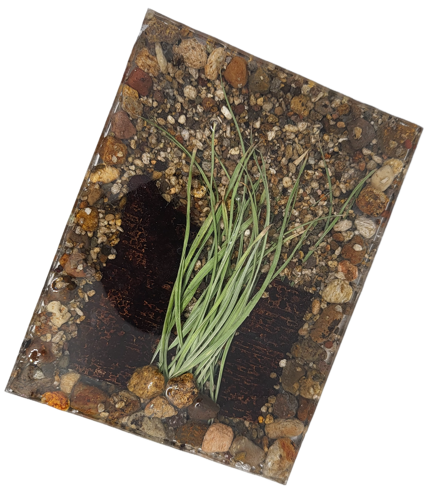 Rock pot with lid