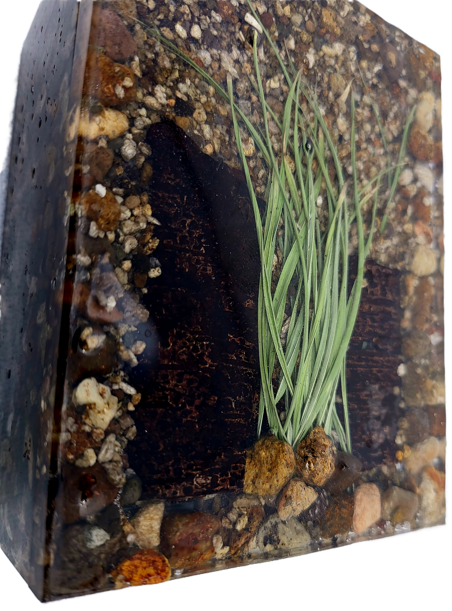 Rock pot with lid