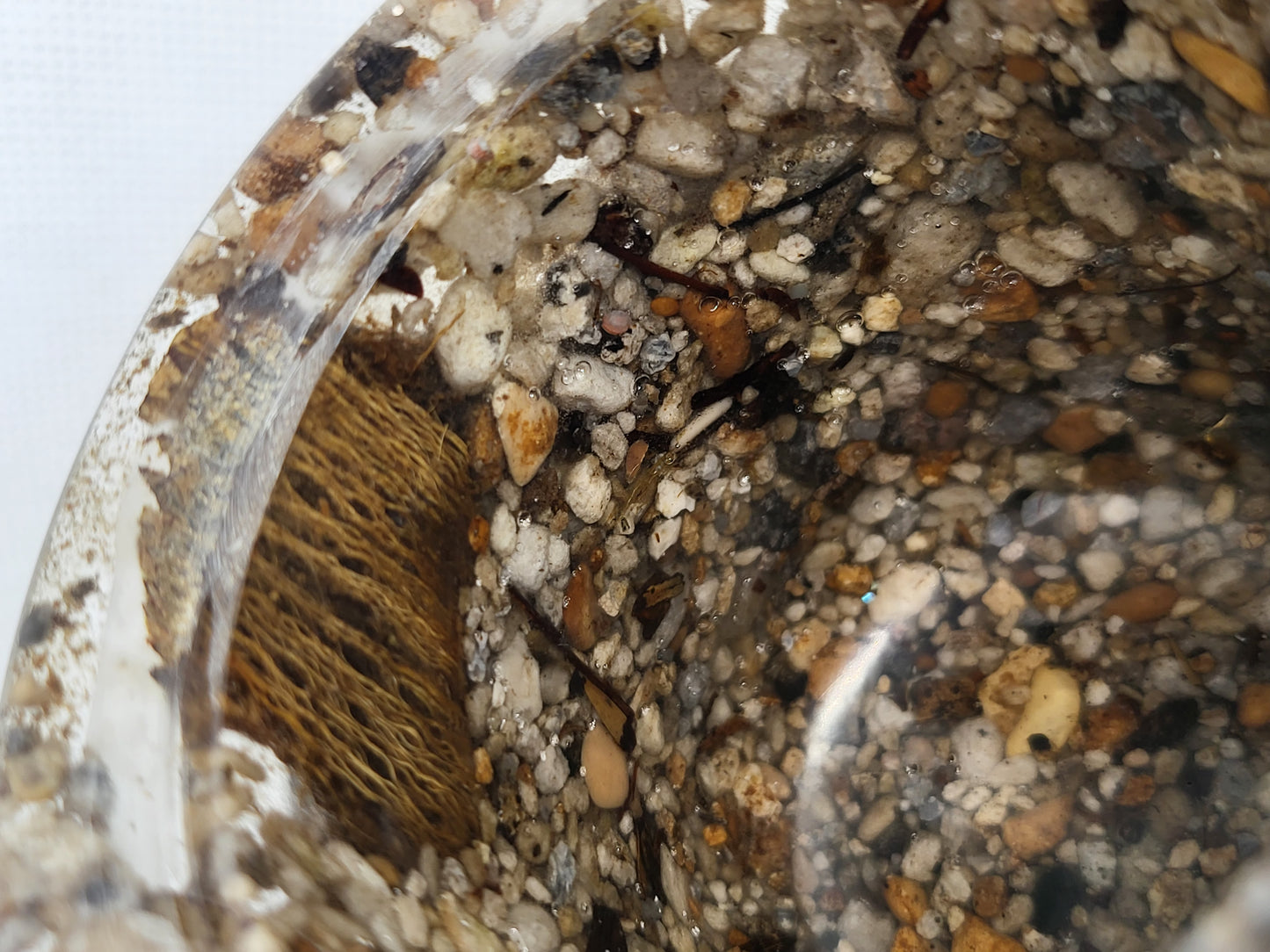 Rock pot with lid