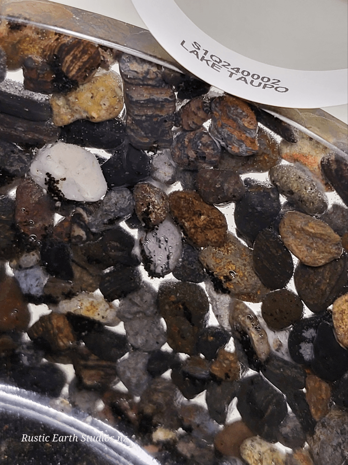 Rock pot medium