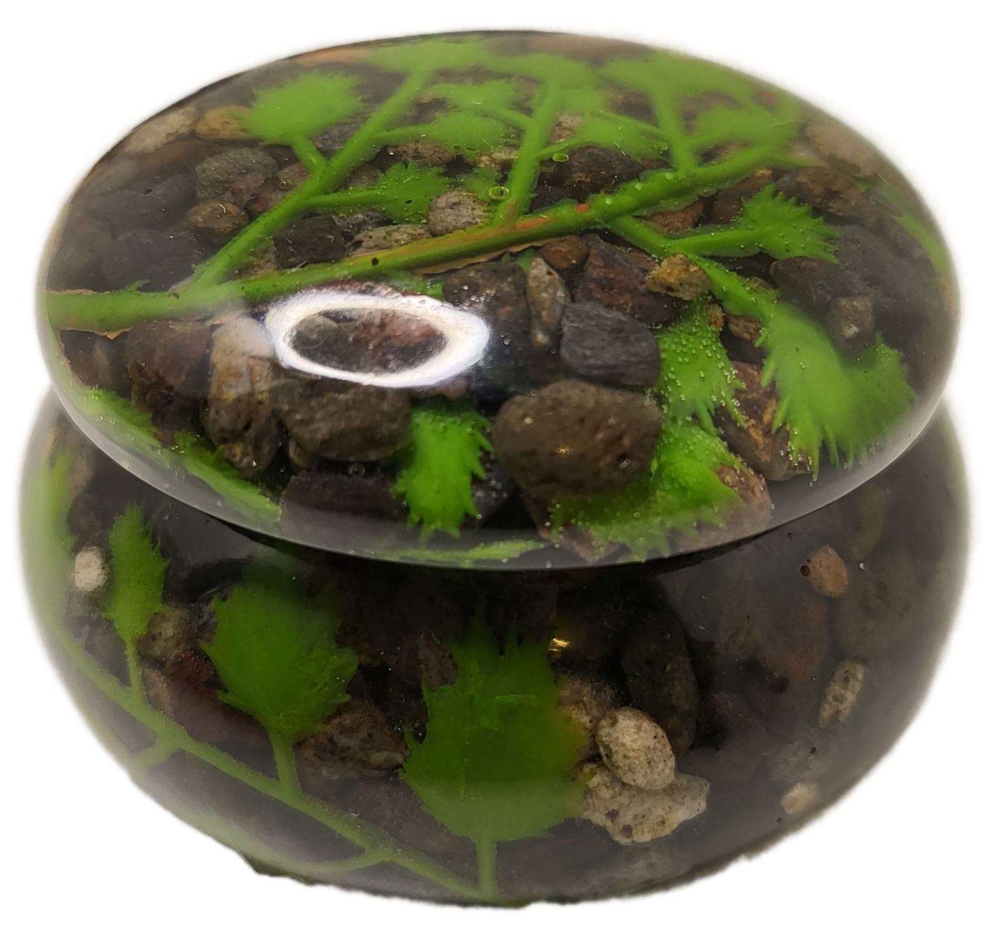 Pot with lid