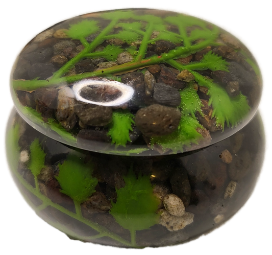 Pot with lid