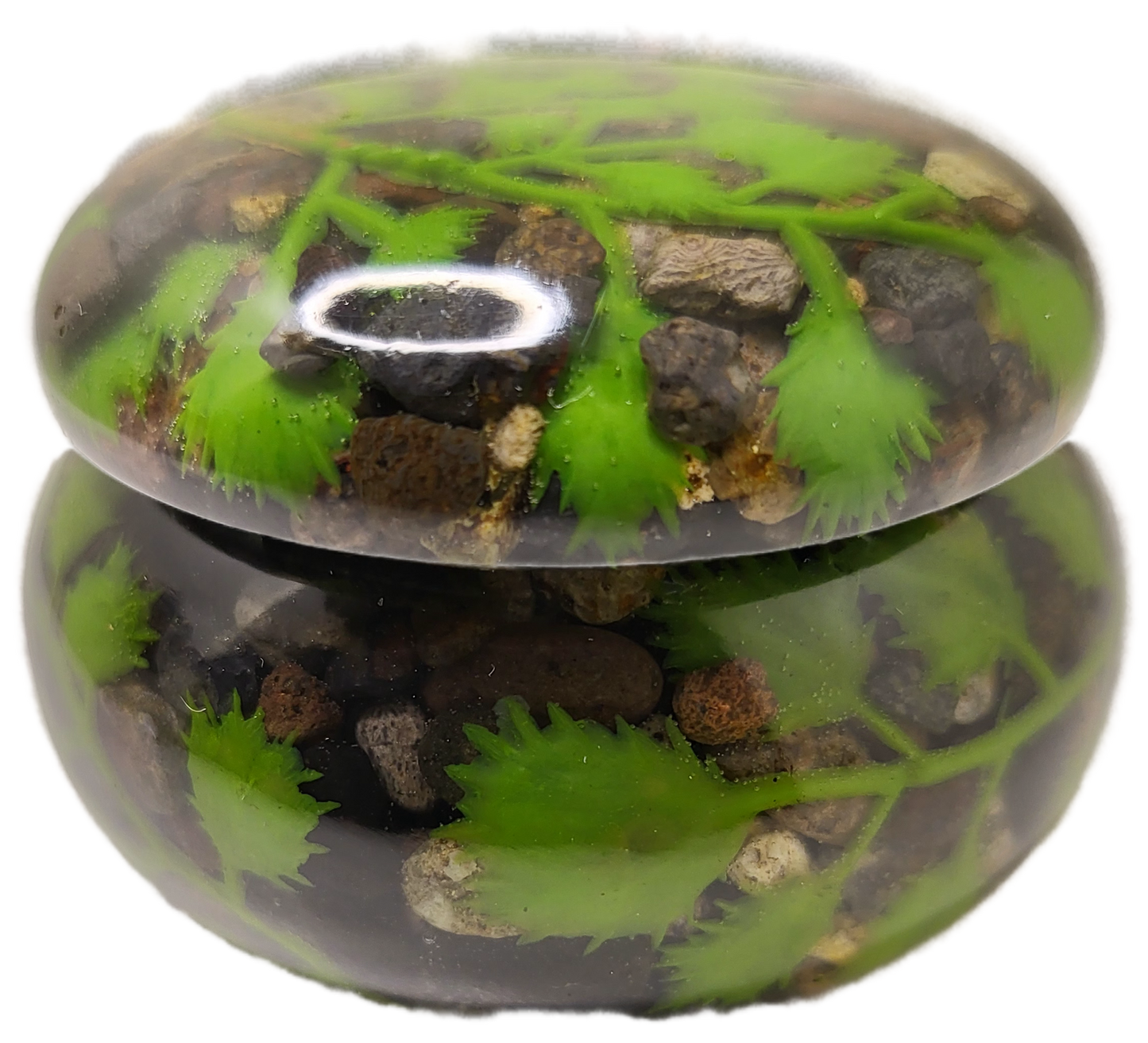 Pot with lid