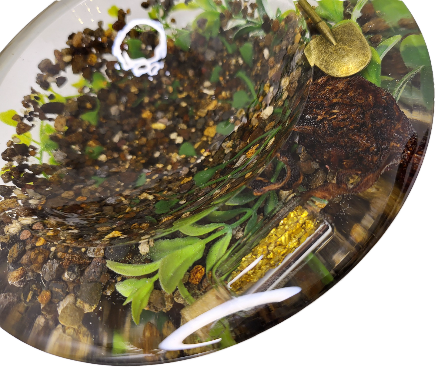 Abstract Rock Bowl