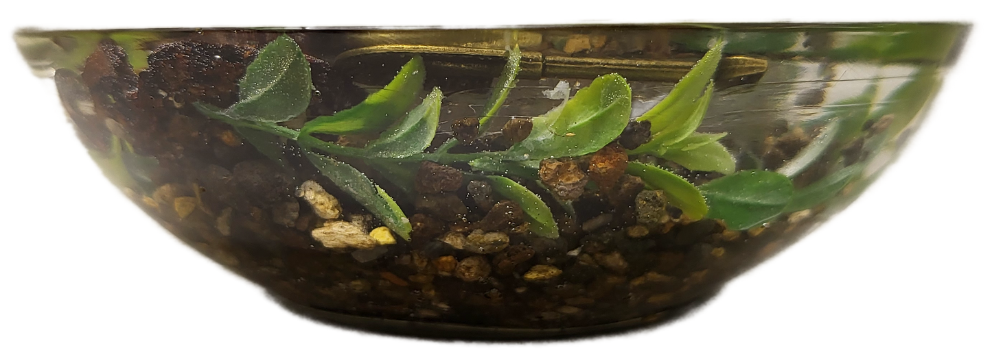 Abstract Rock Bowl