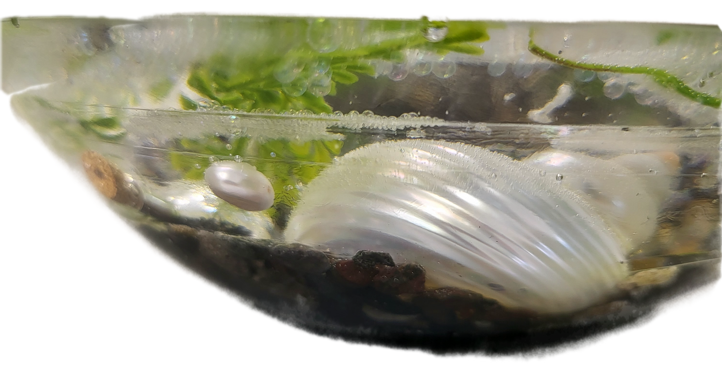 Abstract Rock Bowl