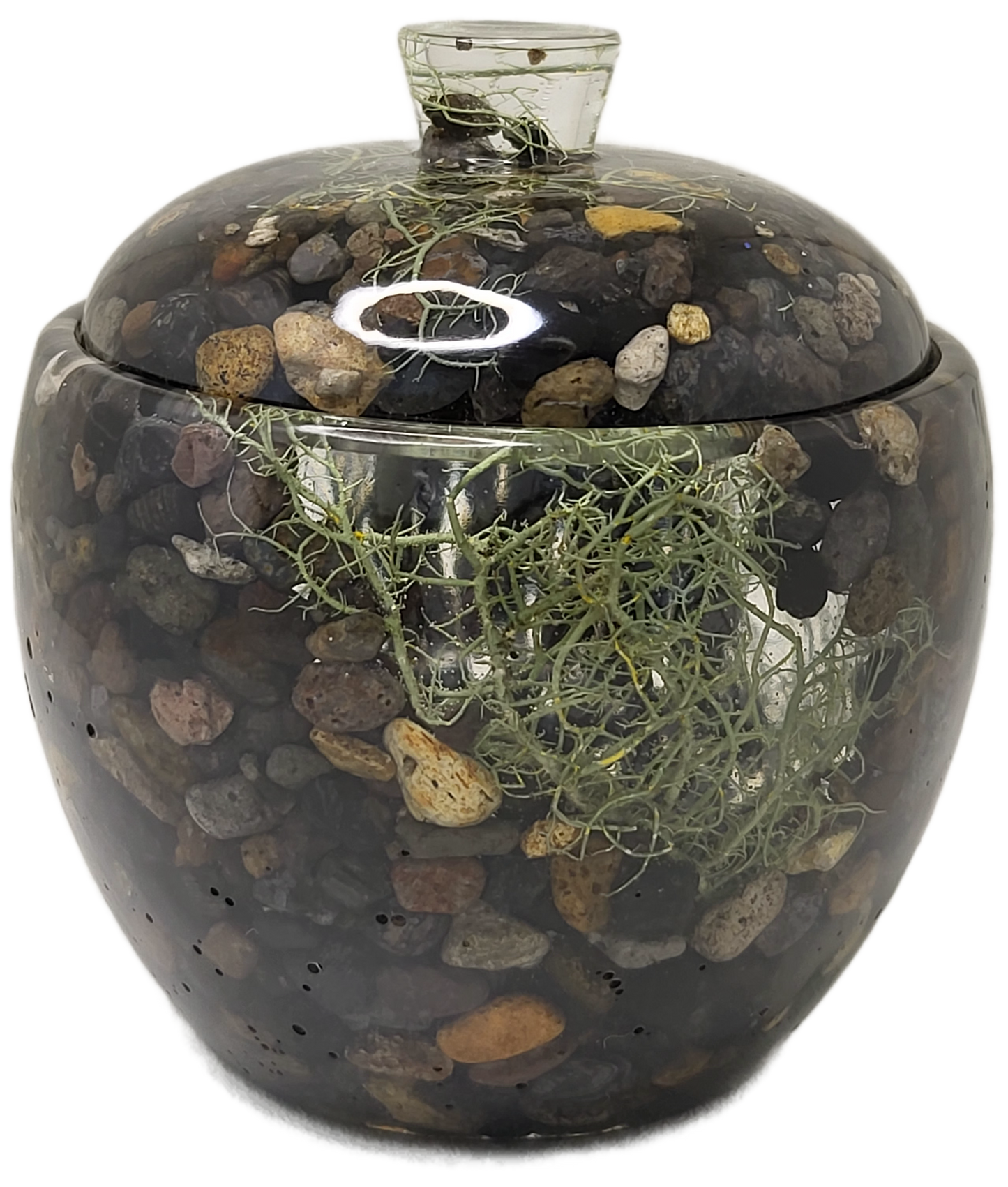 Rock pot with lid