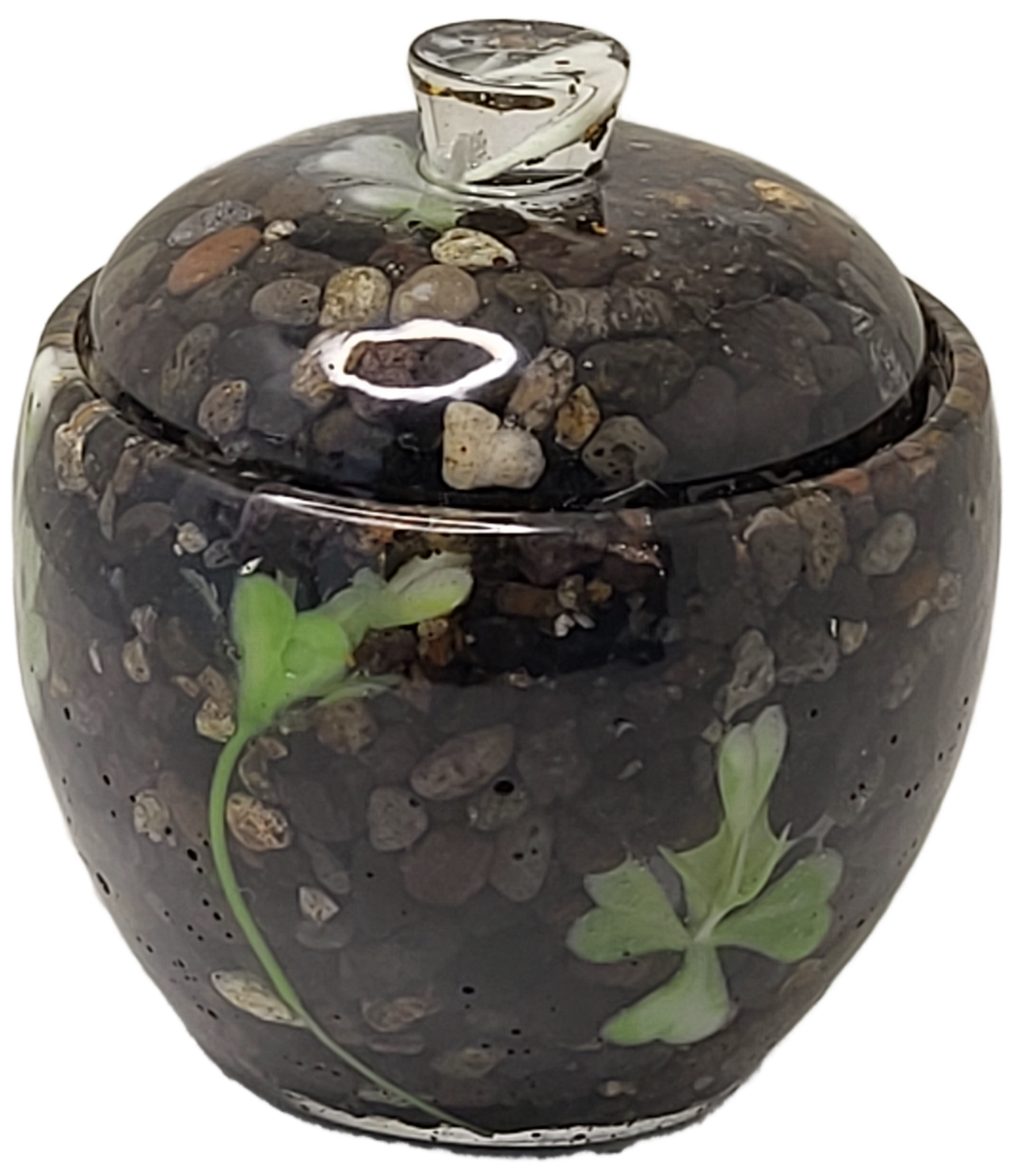 Rock pot with lid