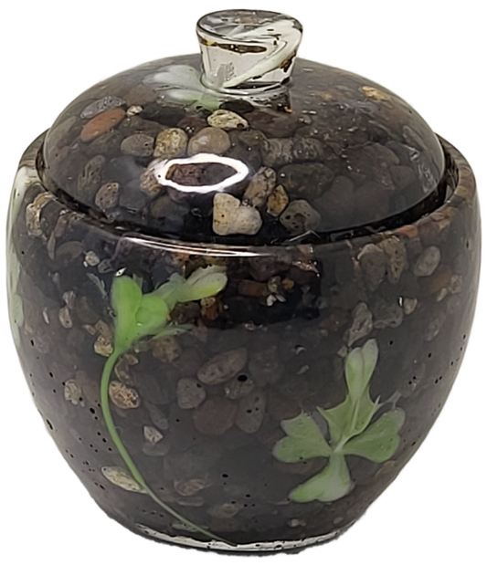 Rock pot with lid