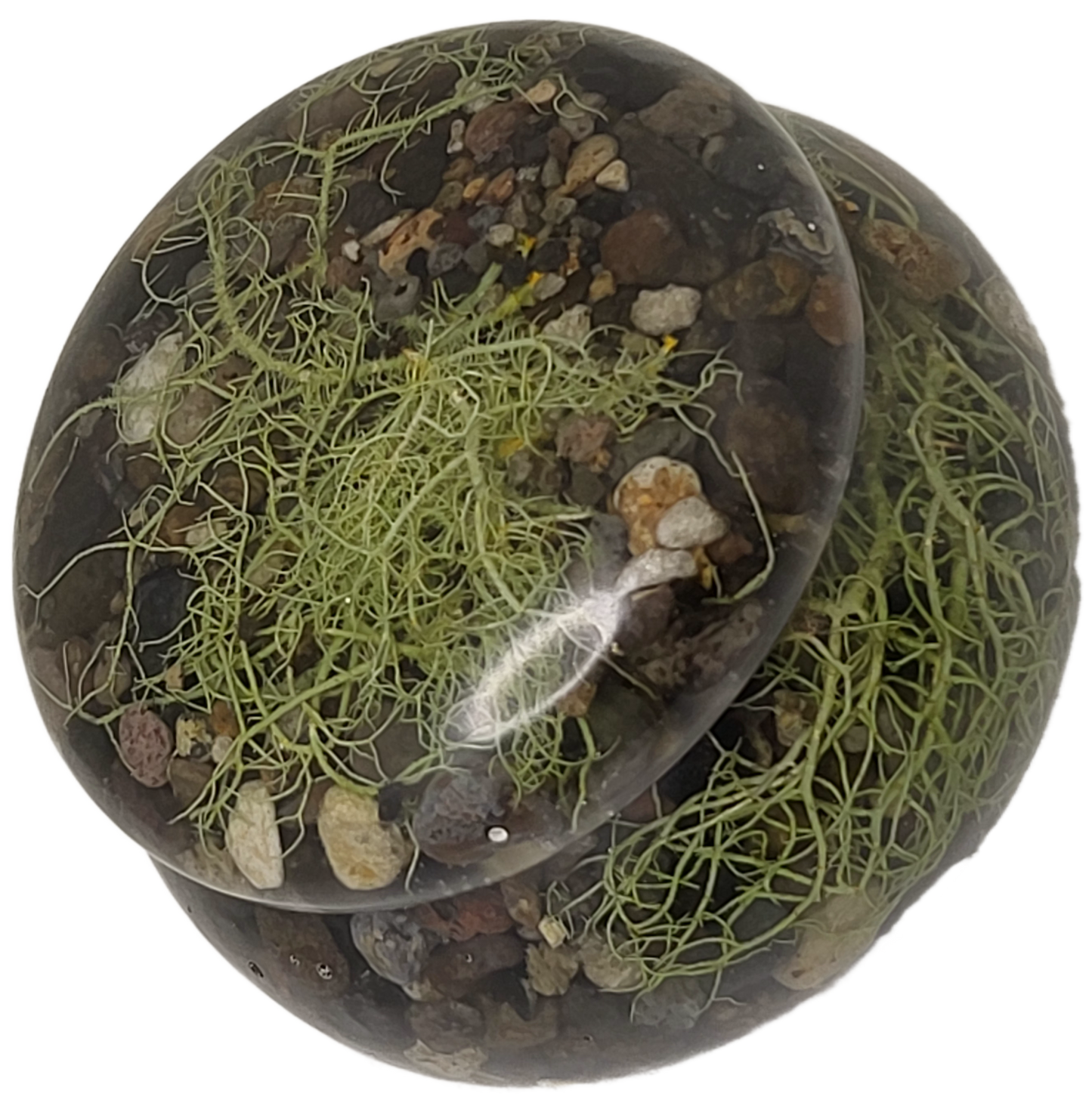 Pot with lid