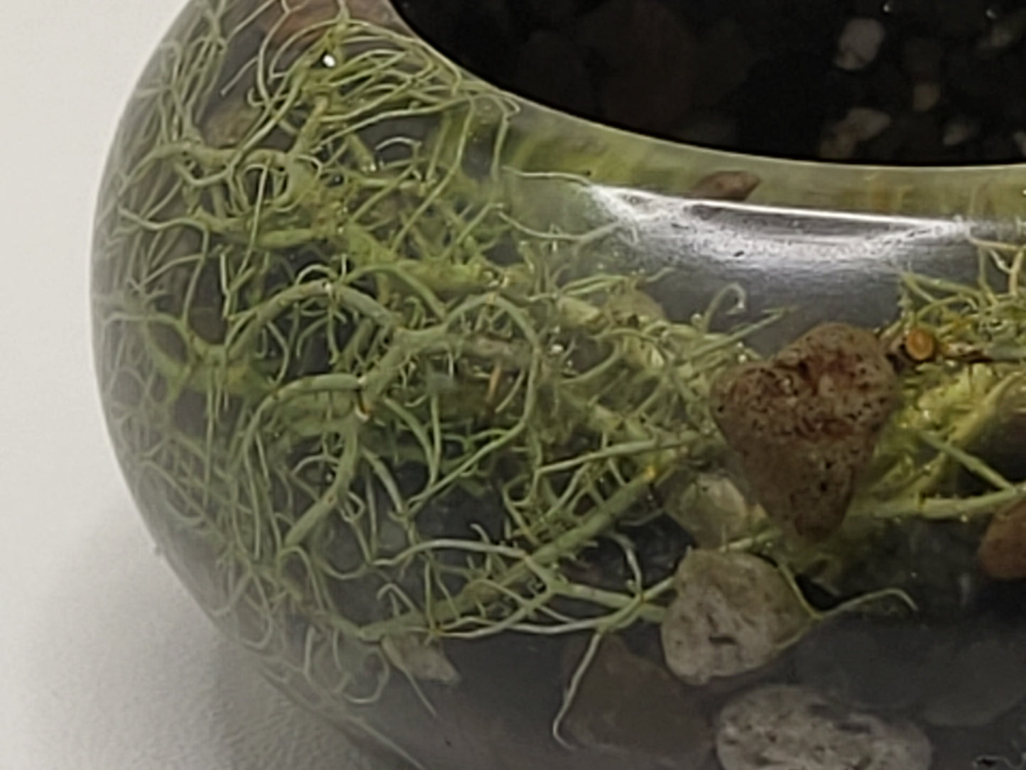 Pot with lid