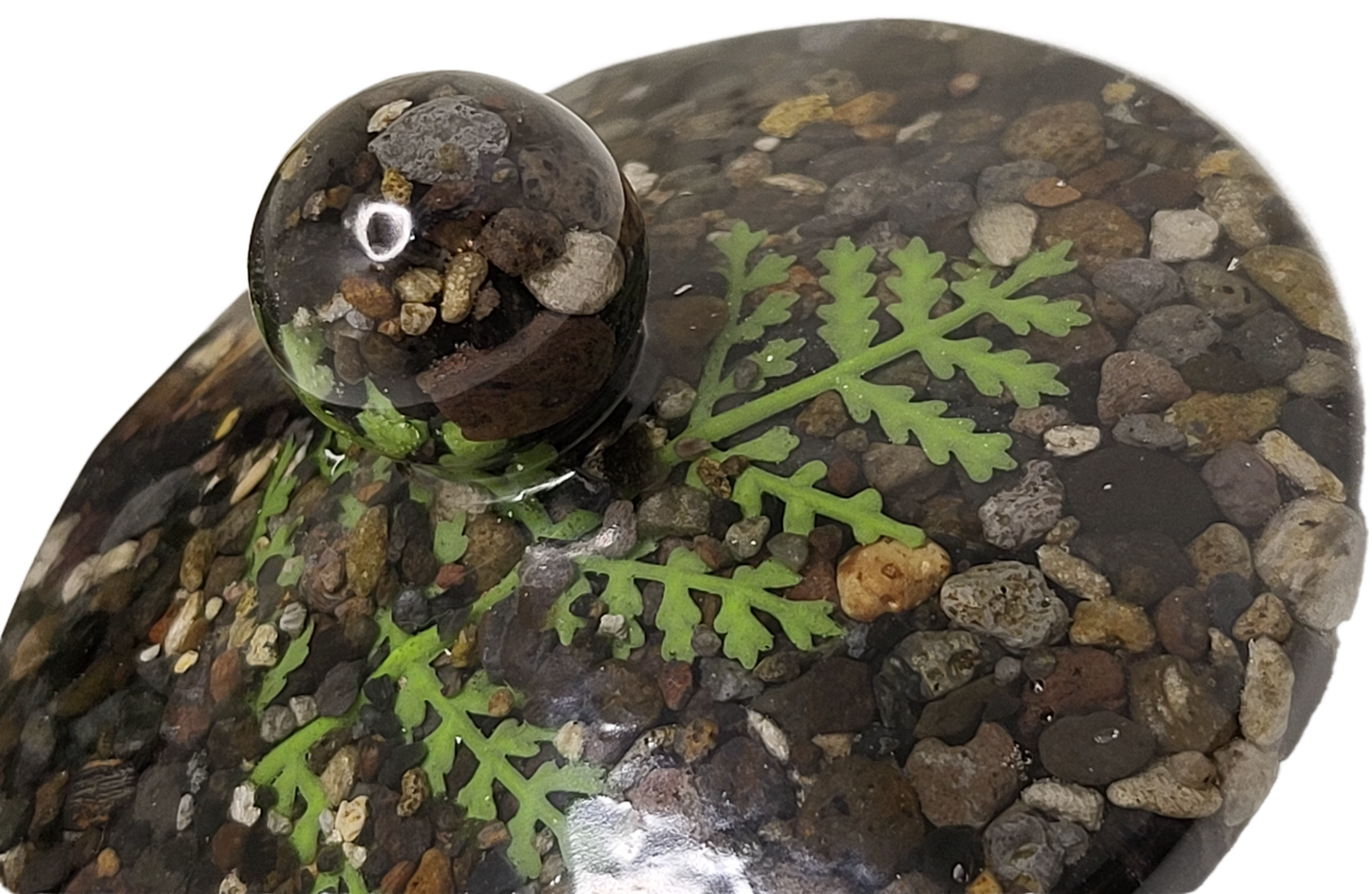 Rock pot with lid