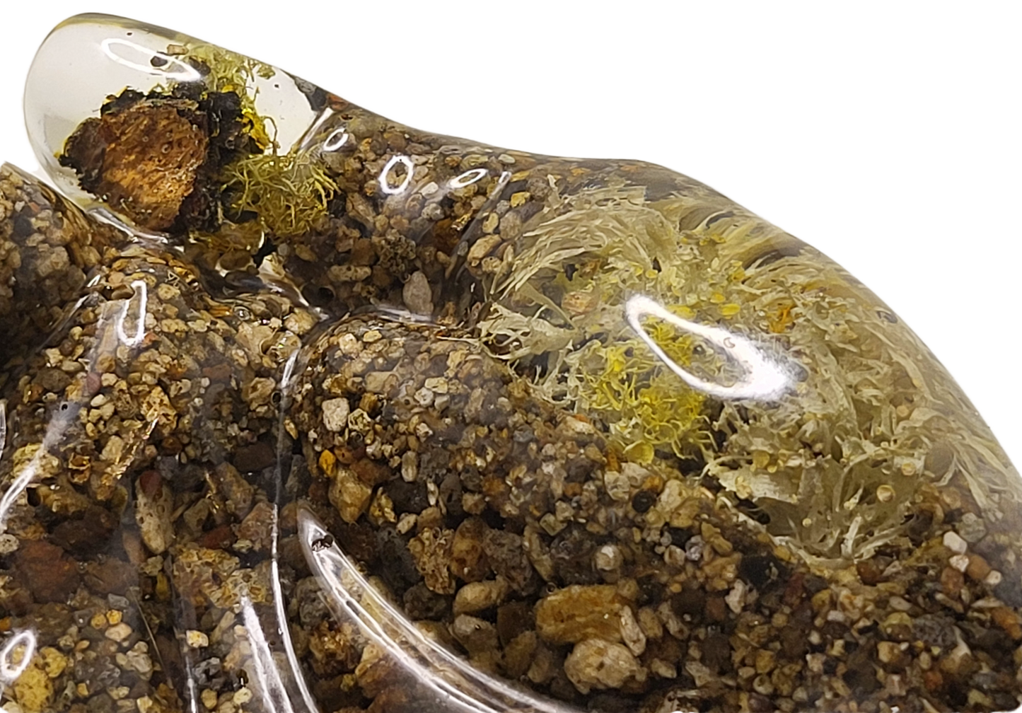 Rock dish giving hands