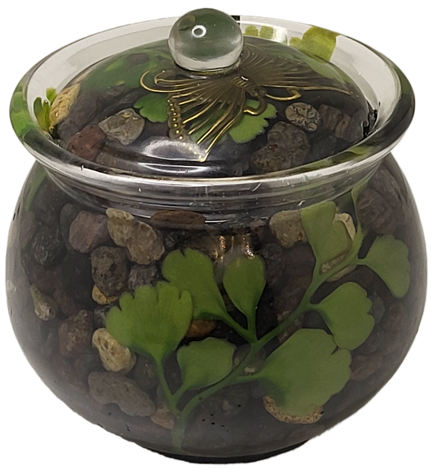 Rock pot with lid