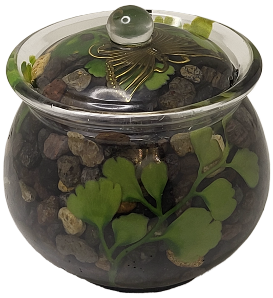 Rock pot with lid