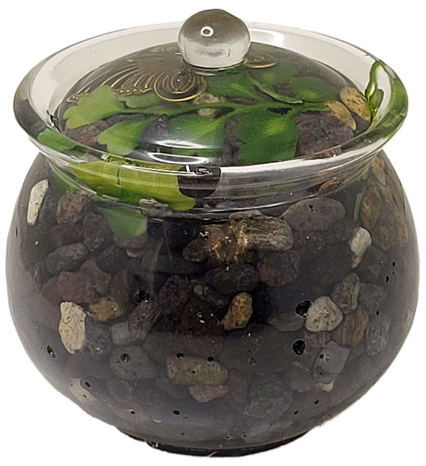 Rock pot with lid
