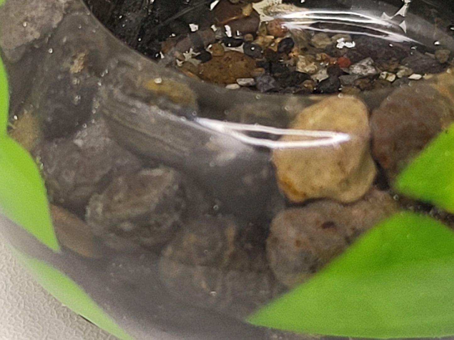 Pot with Lid