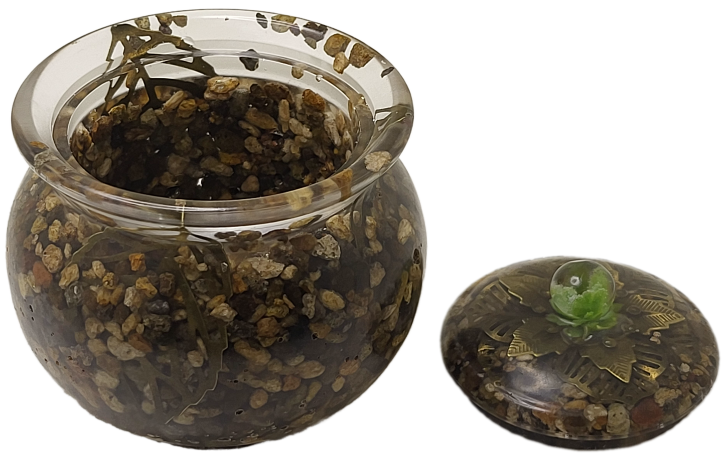 Rock pot with lid