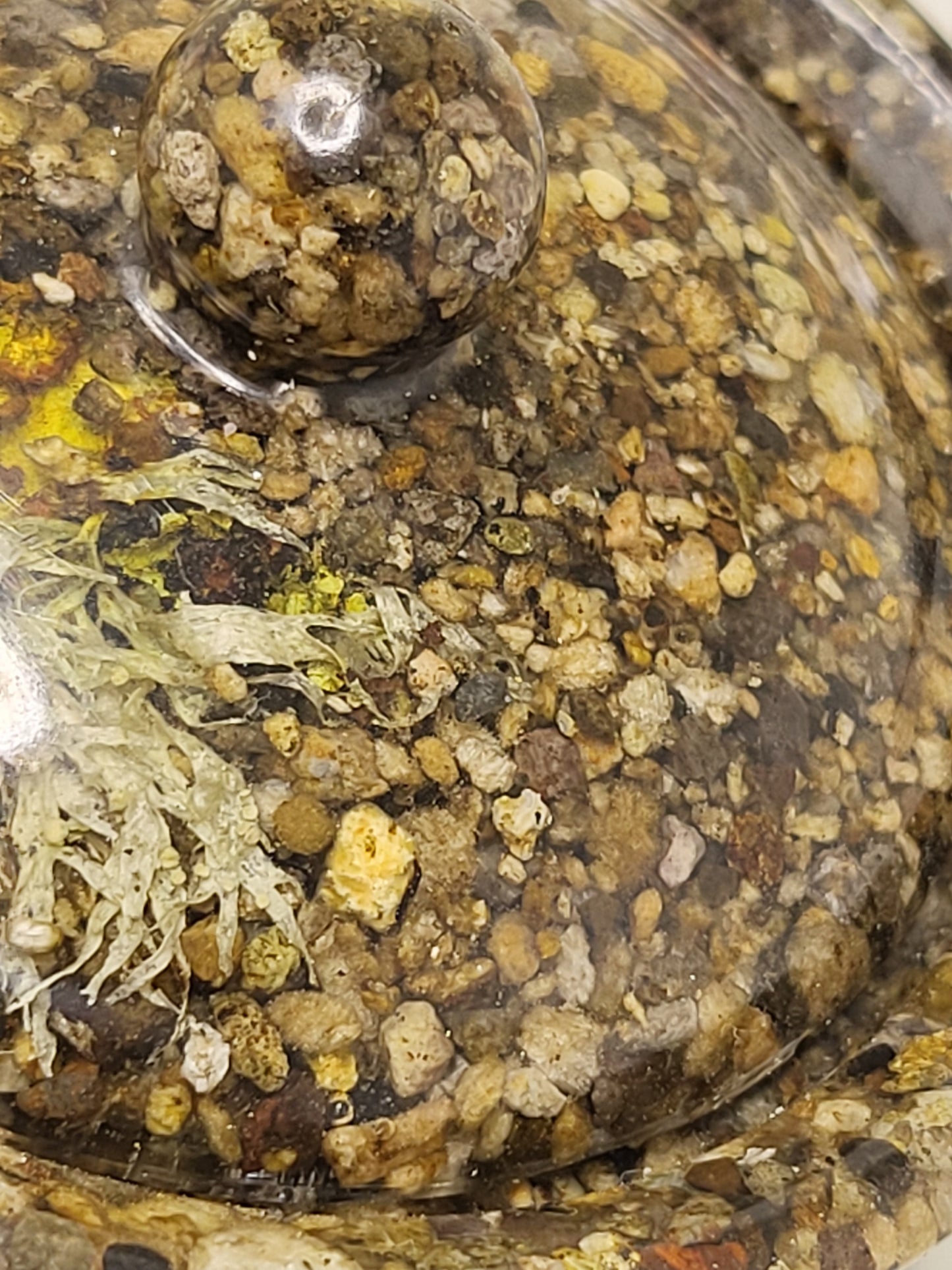 Rock pot with lid