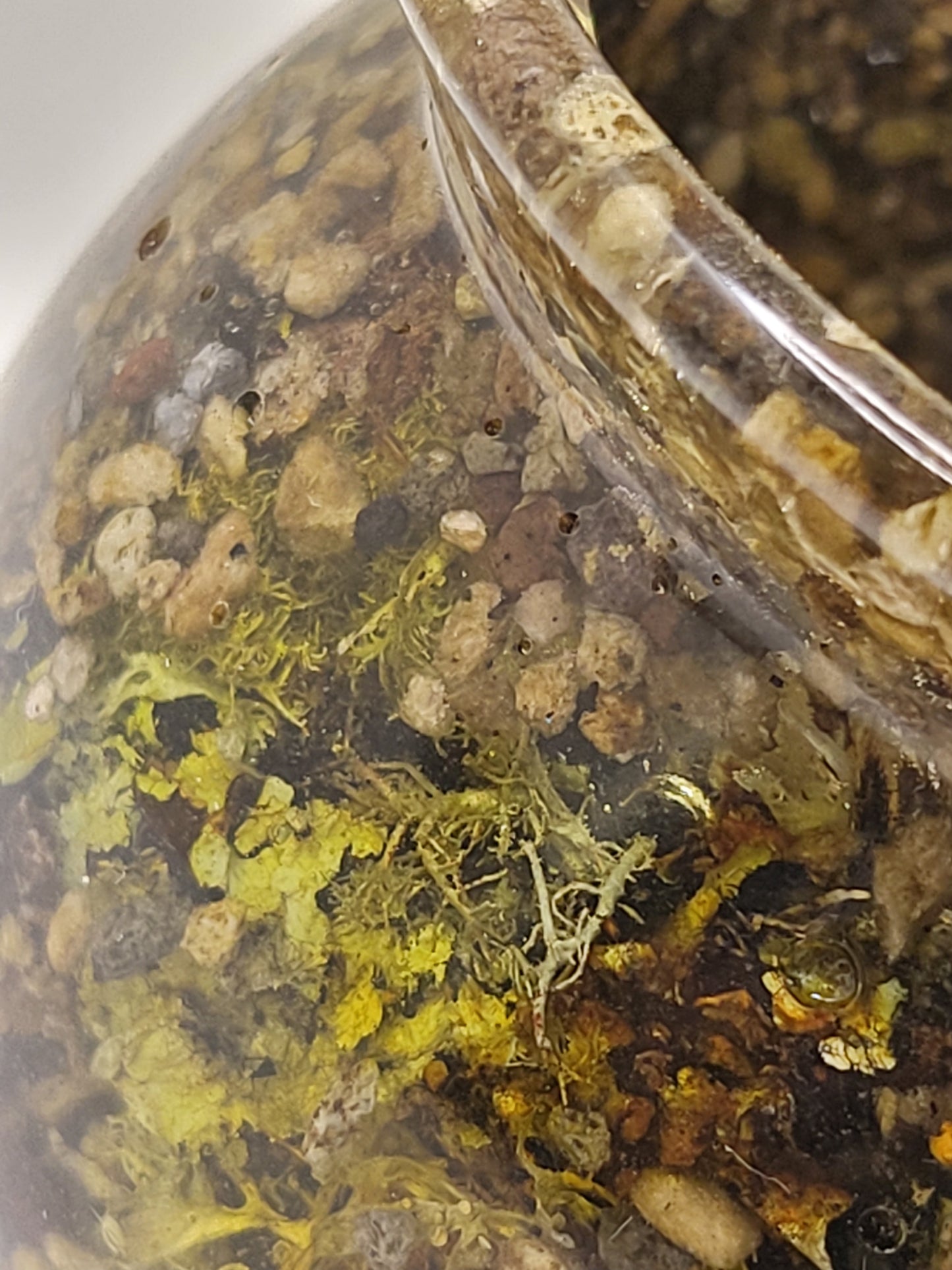 Rock pot with lid