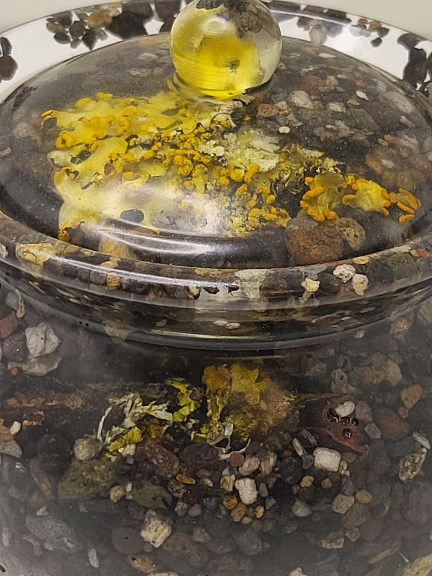 Rock pot with lid