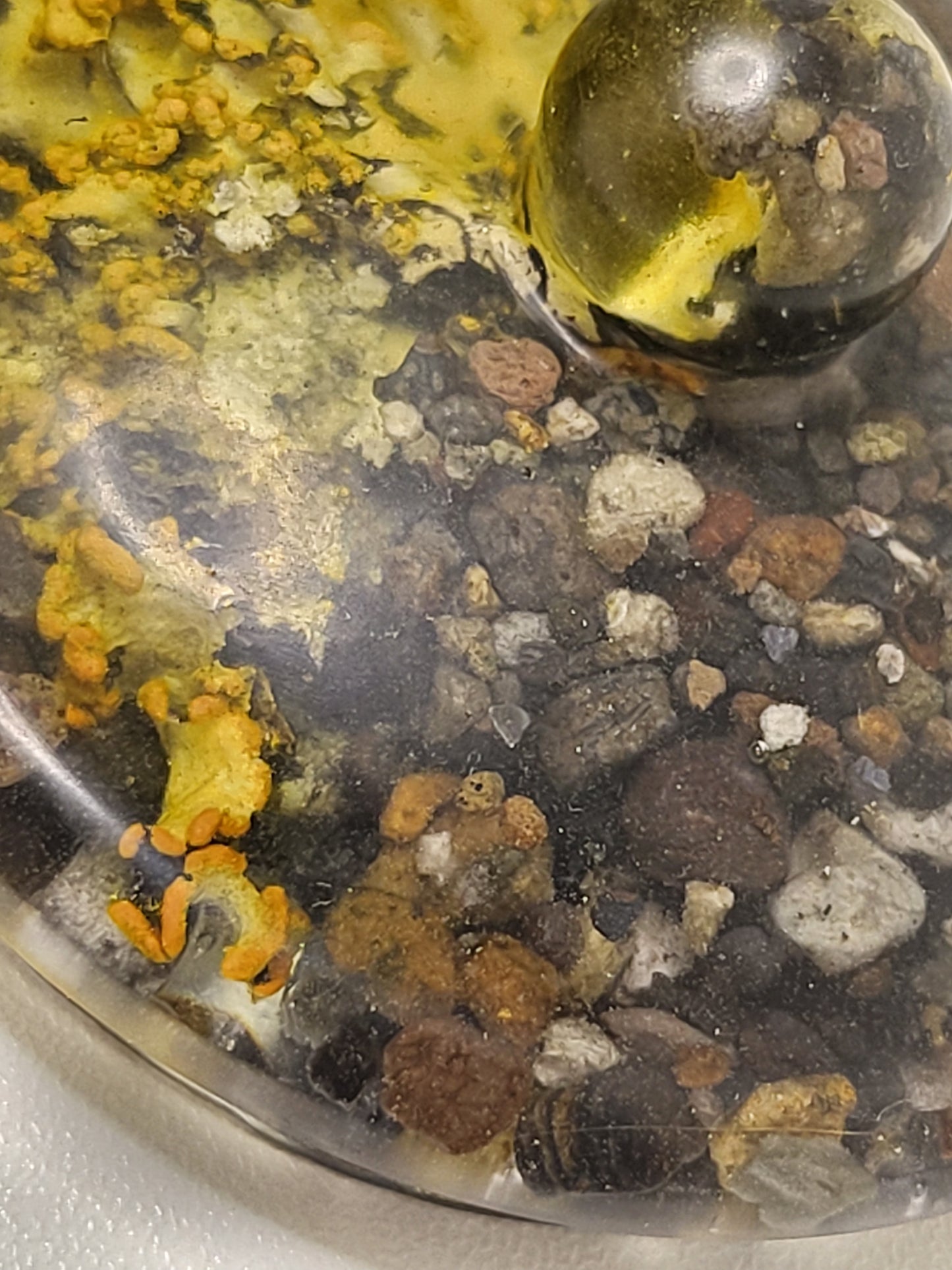 Rock pot with lid