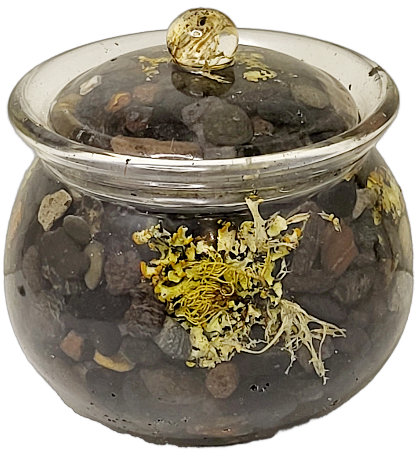 Rock pot with lid