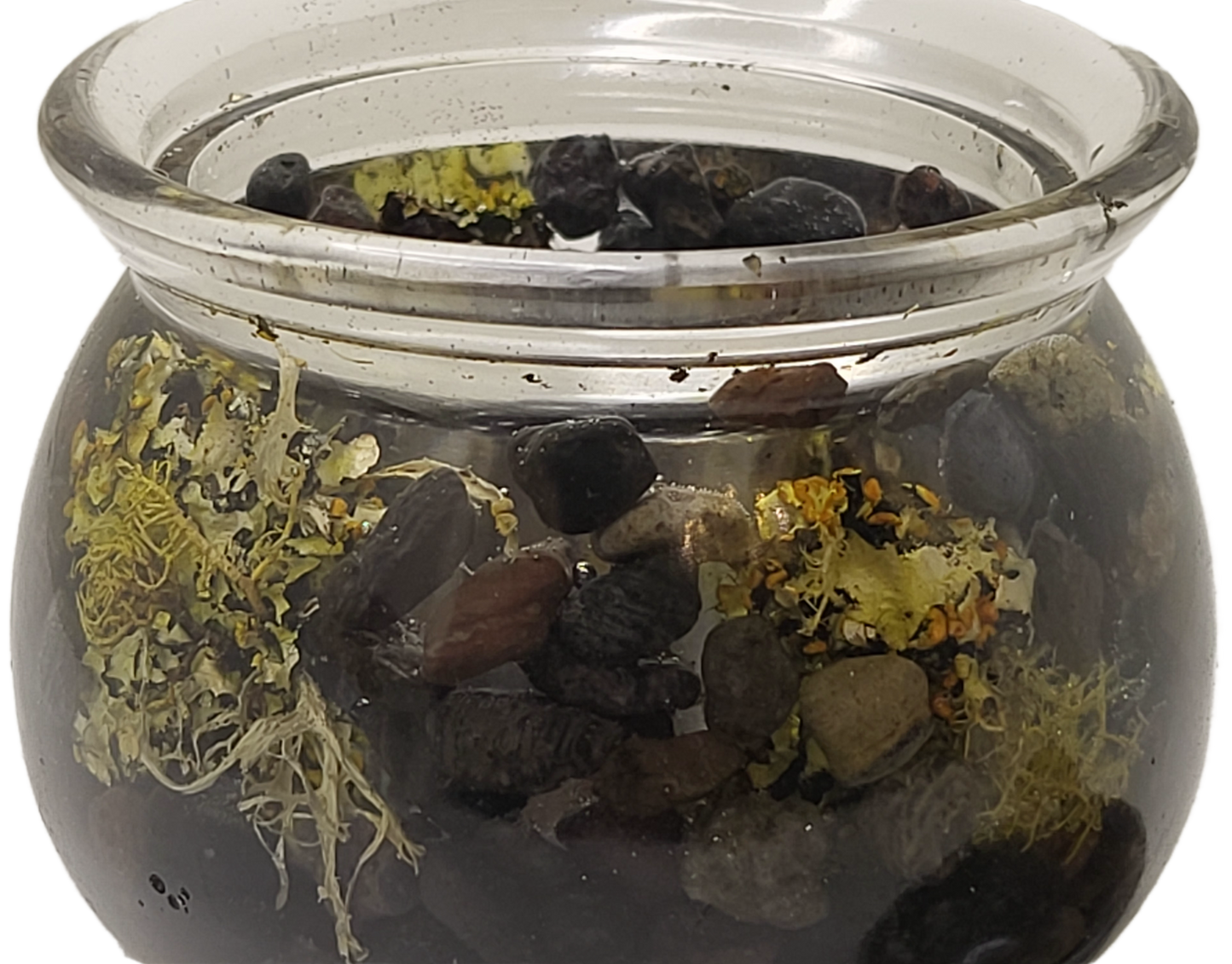 Rock pot with lid