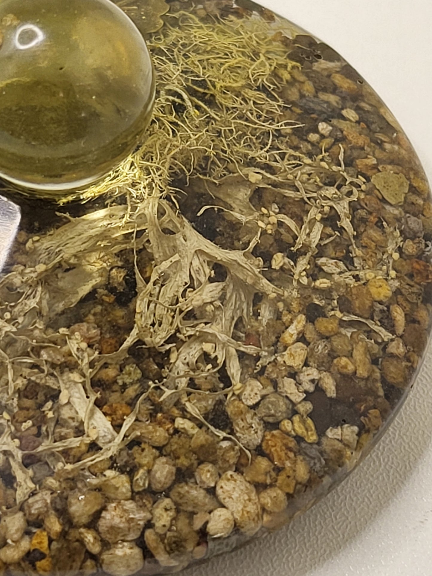 Rock pot with lid