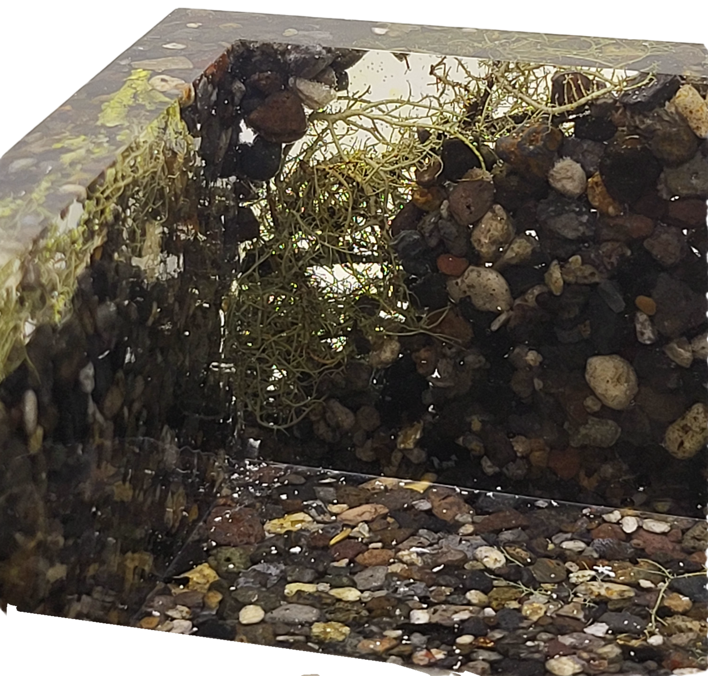 Rock pot with lid