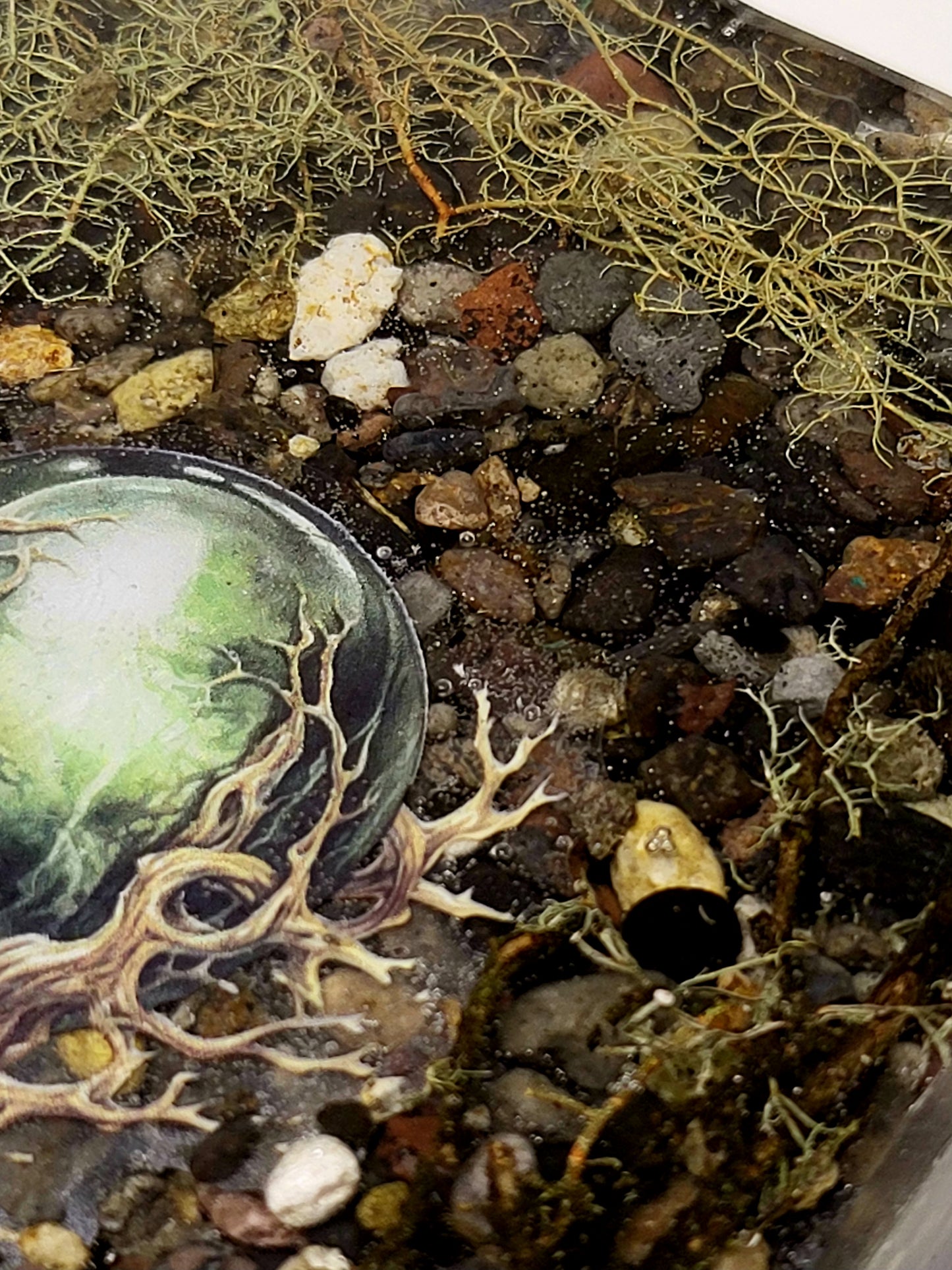 Rock pot with lid