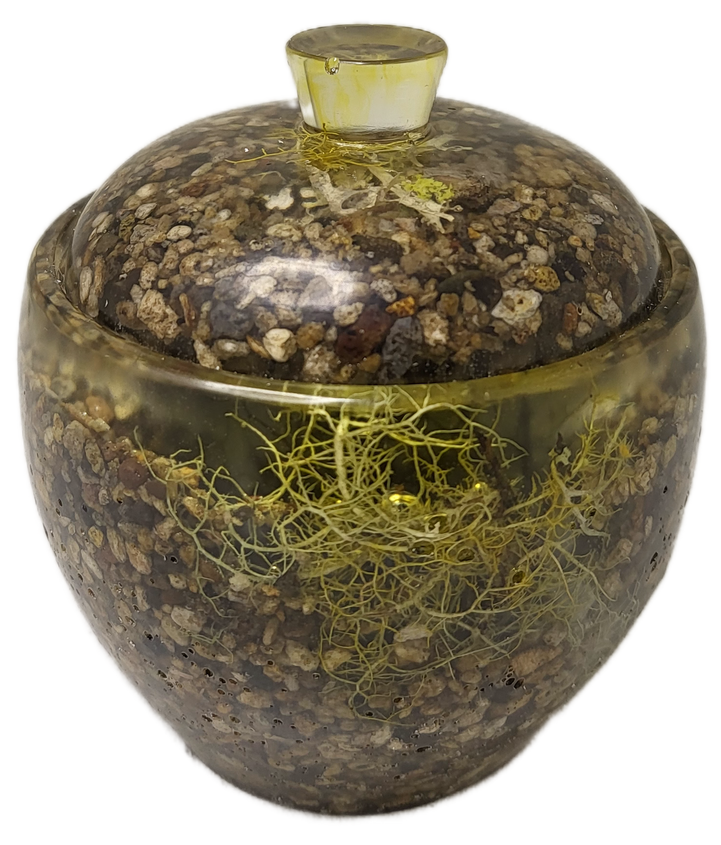 Rock pot with lid