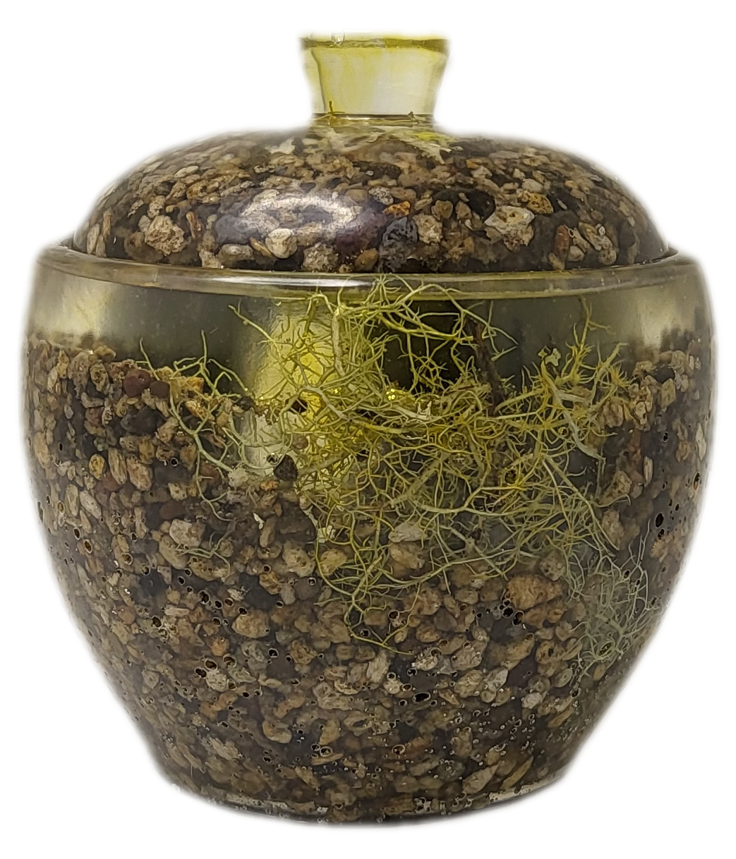 Rock pot with lid