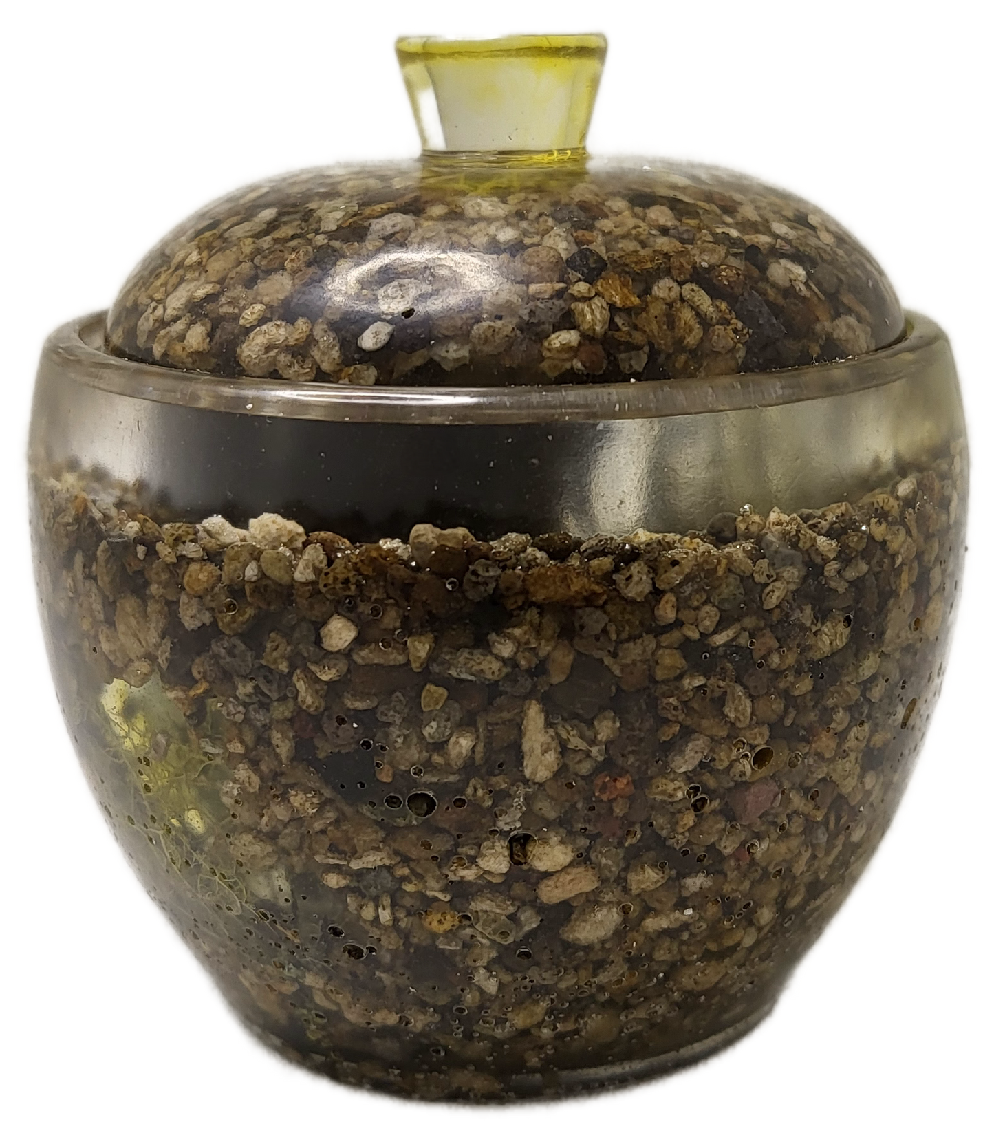 Rock pot with lid