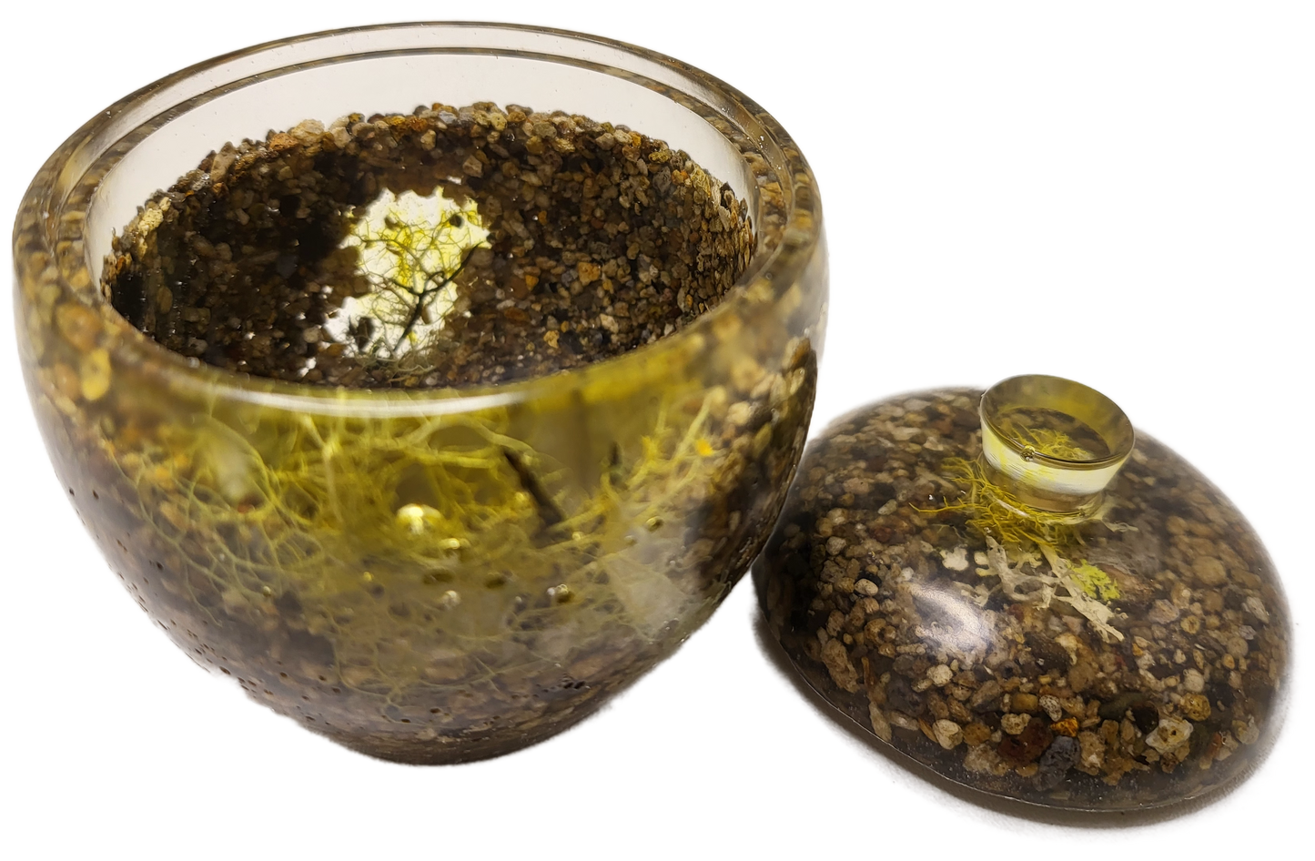 Rock pot with lid
