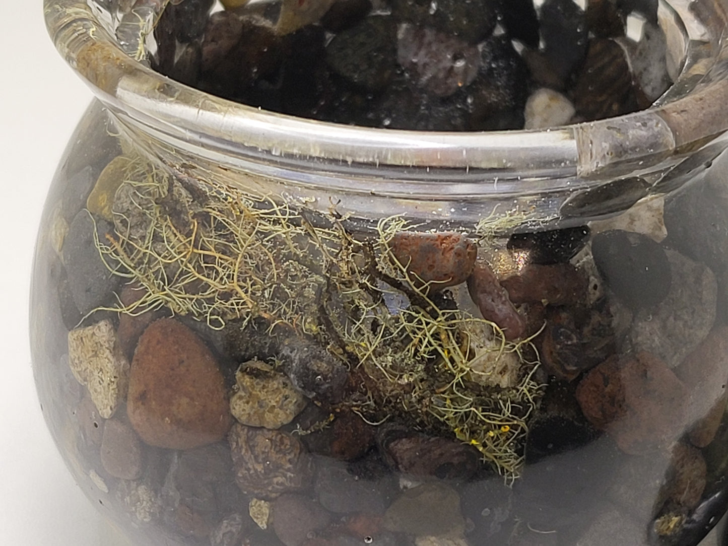Rock pot with lid