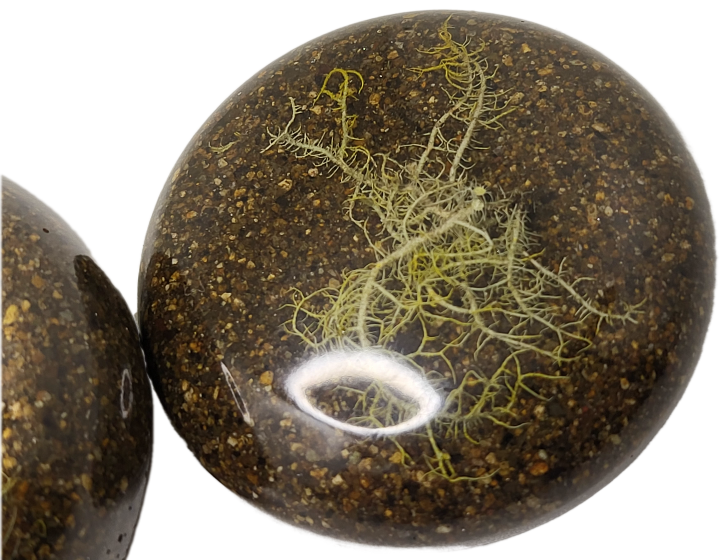 Pot with Lid