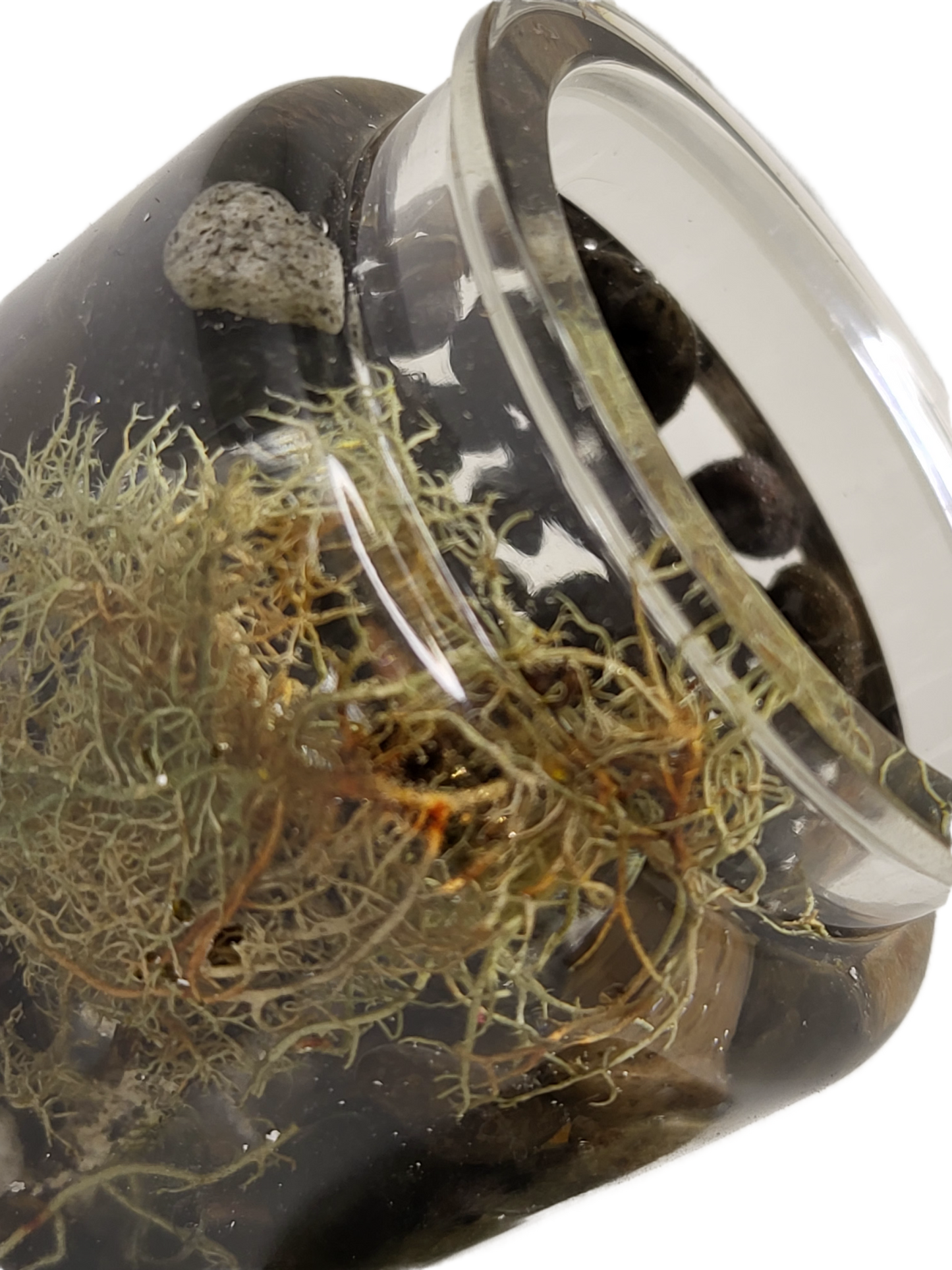 Rock pot with lid