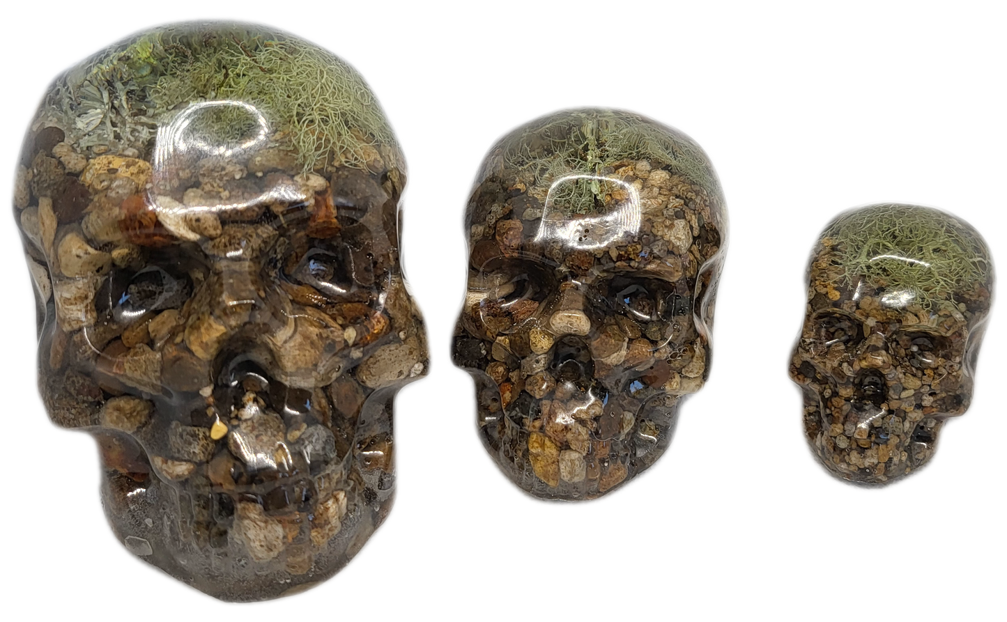 Skull decor