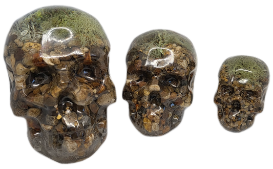 Skull decor