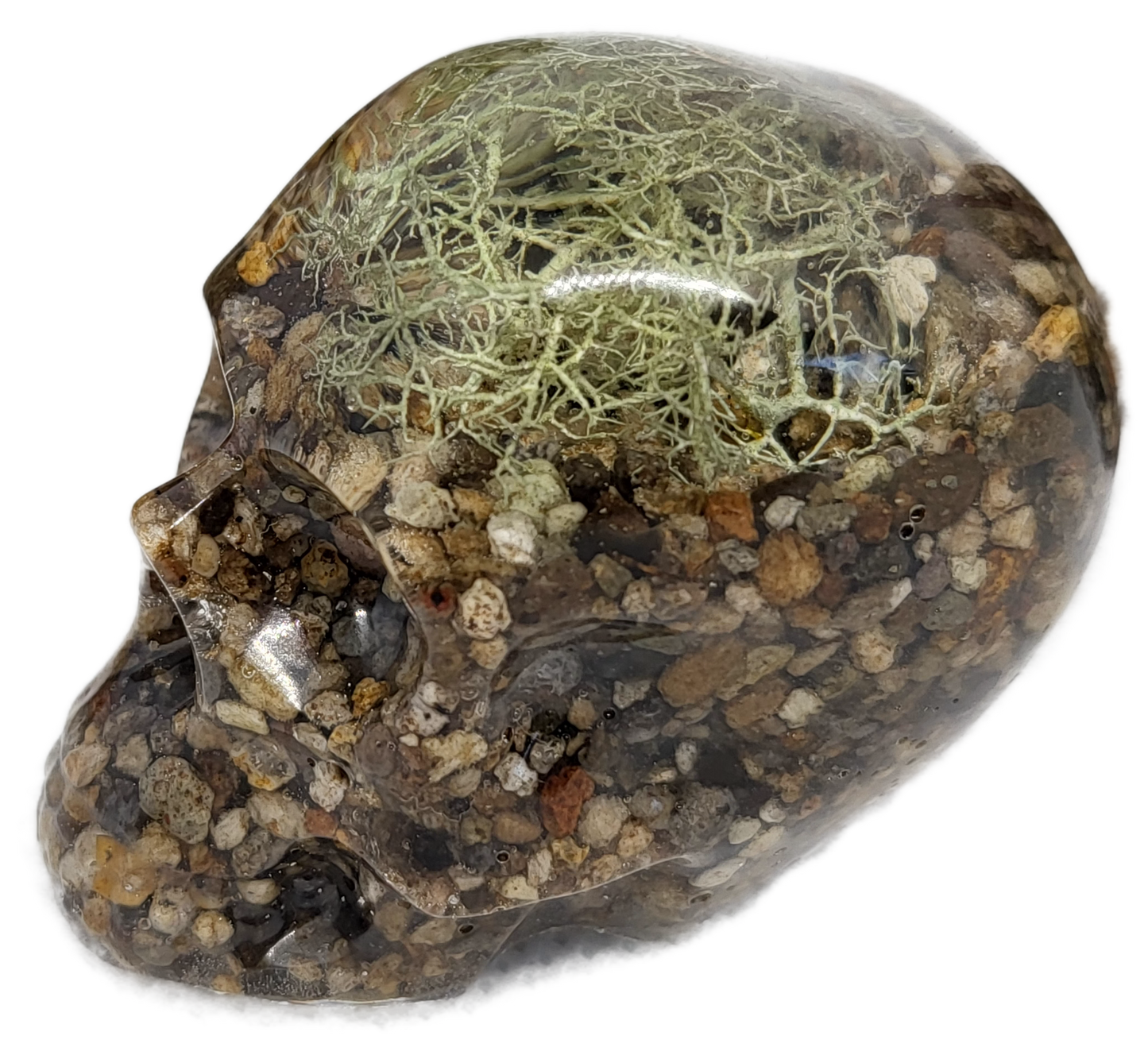 Skull decor