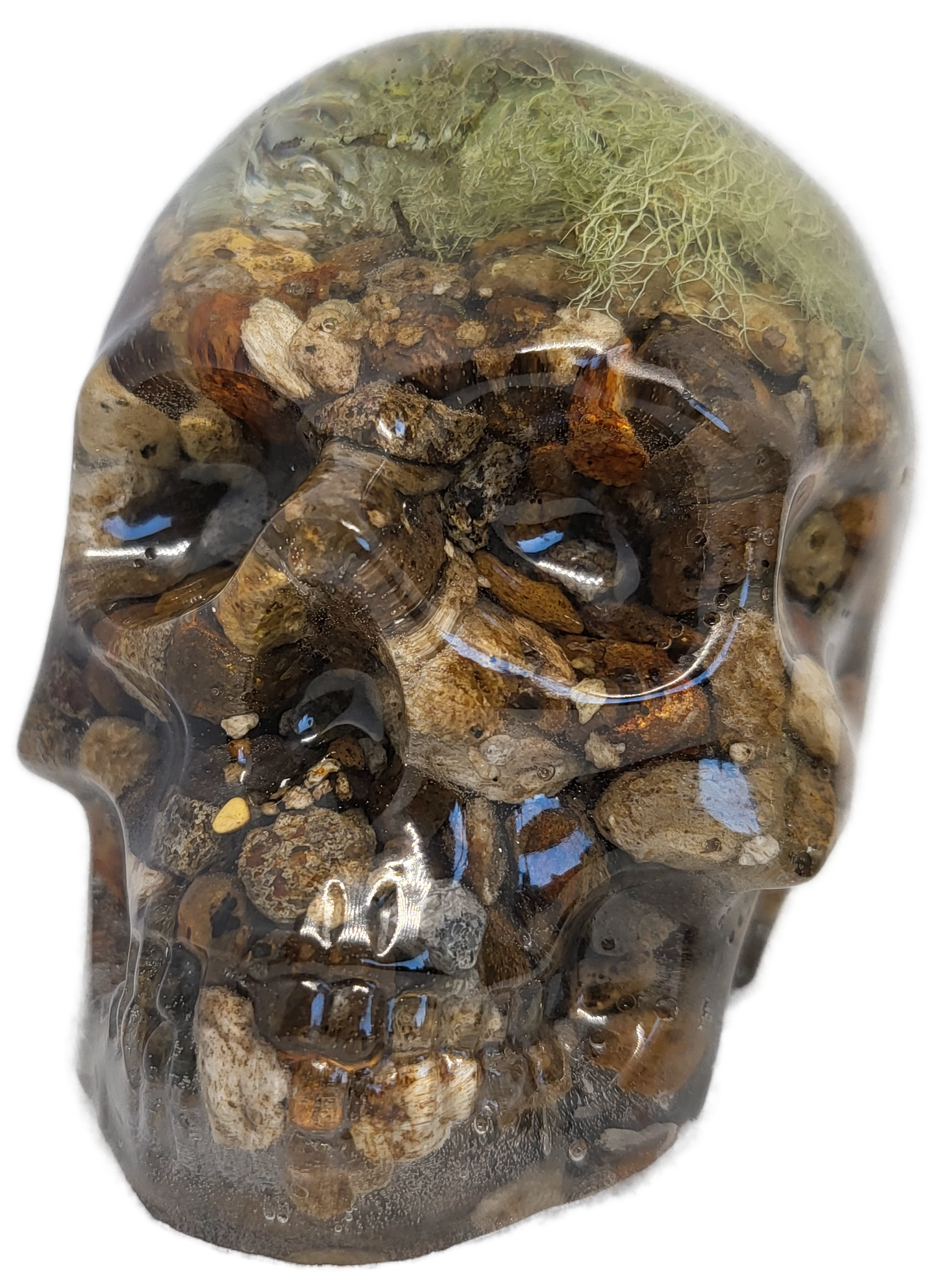 Skull decor