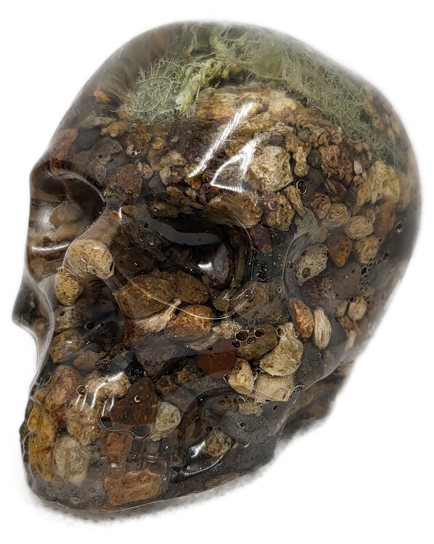 Skull decor