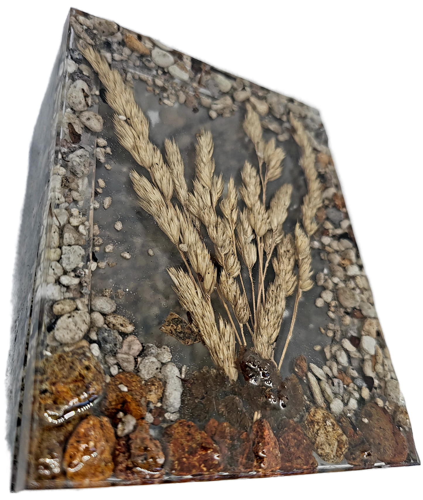 Rock pot with lid