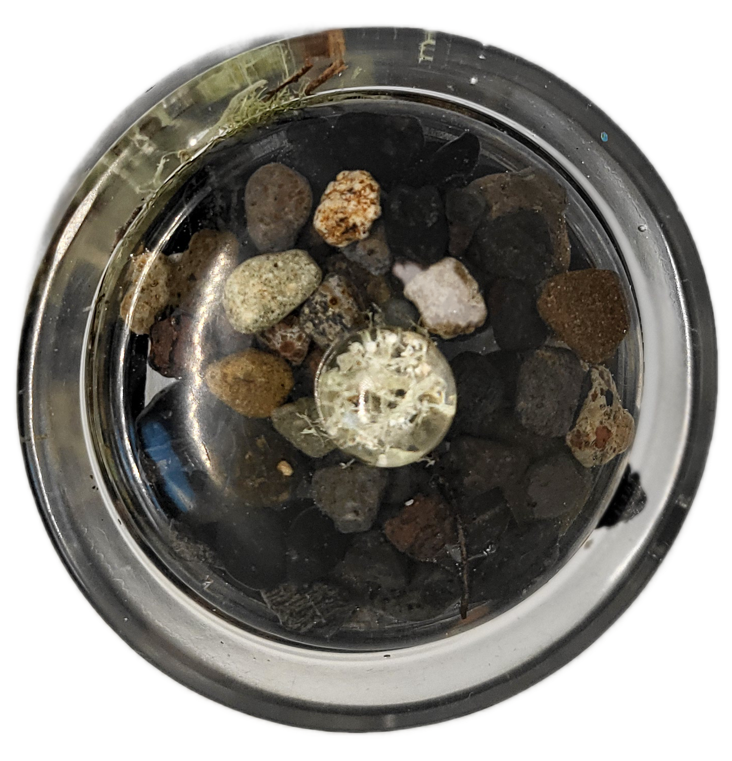 Rock pot with lid