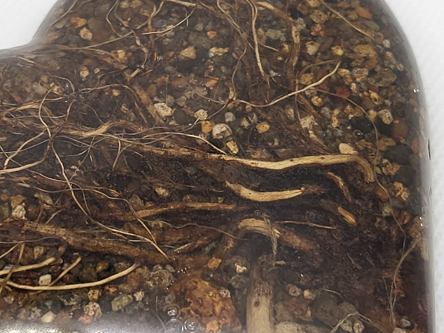 Rock pot heart with lid